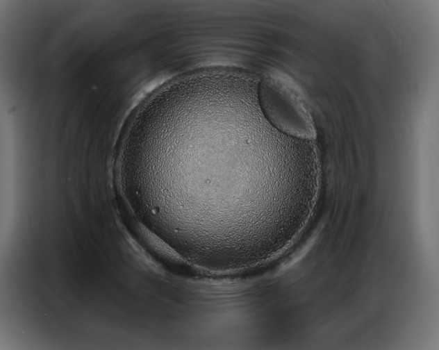 X0000086931121200704161418