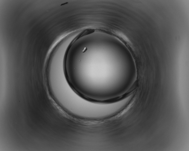 X0000086931122200704161418