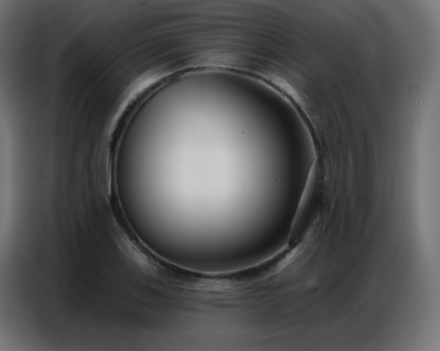 X0000086931123200704161418