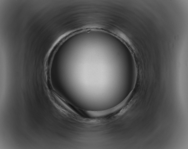 X0000086931124200704161418