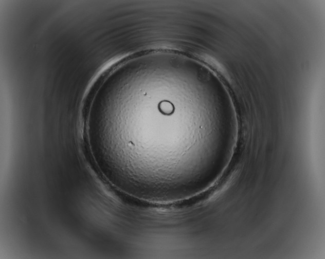 X0000086931125200704161418