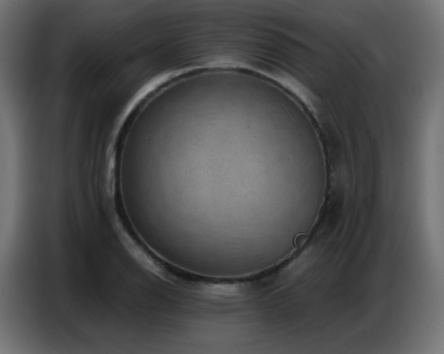 X0000086931126200704161418