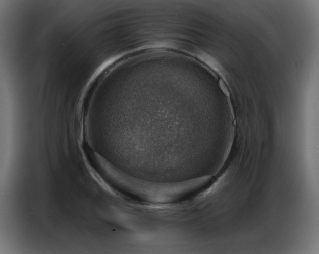 X0000086931127200704161418