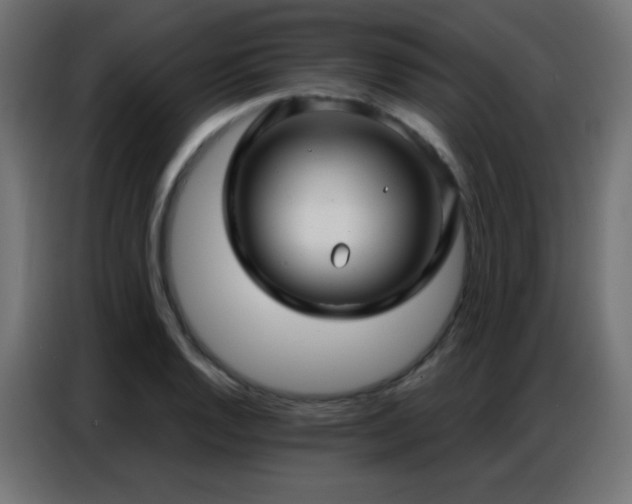 X0000086931128200704161418