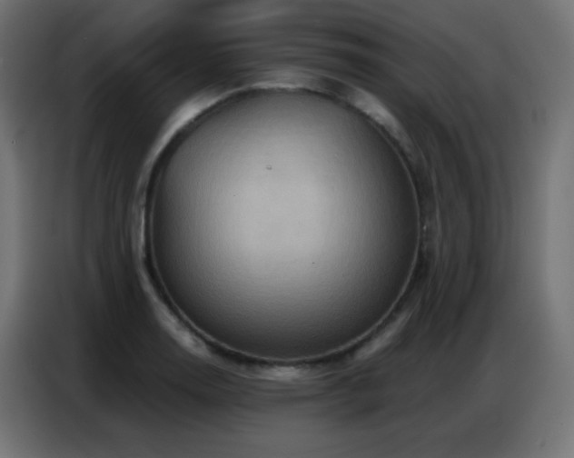 X0000086931130200704161418