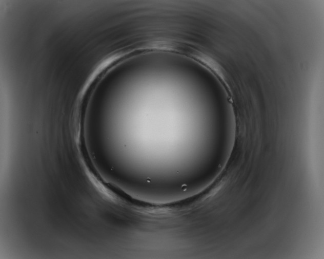 X0000086931131200704161418