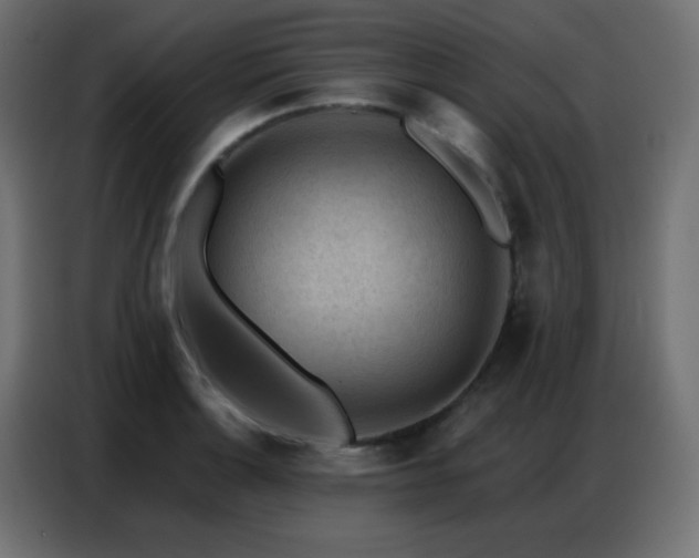 X0000086931132200704161418