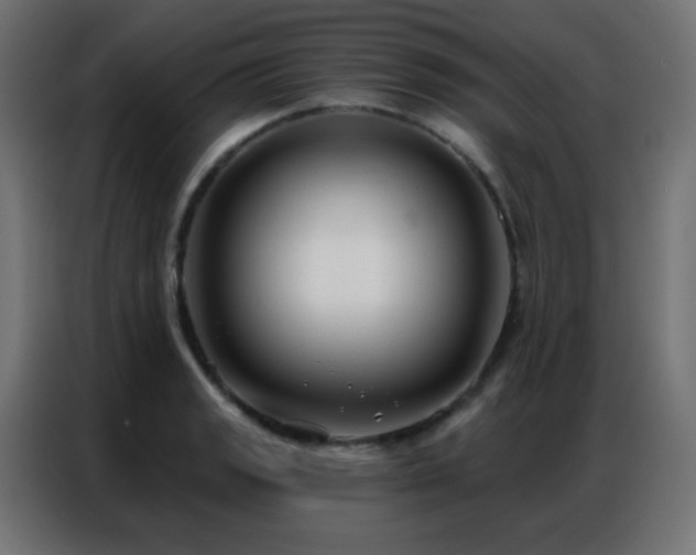 X0000086931133200704161418