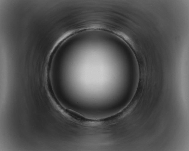 X0000086931134200704161418