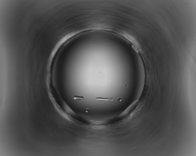 X0000086931136200704161418