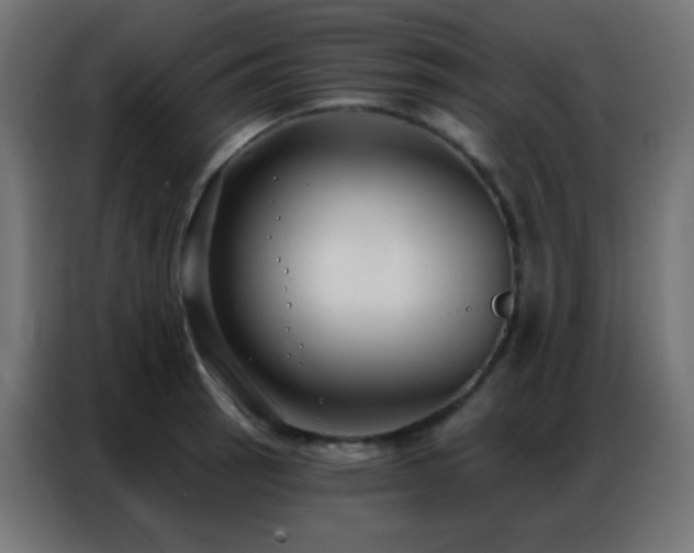 X0000086931137200704161418