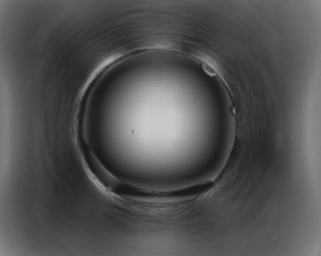 X0000086931139200704161418