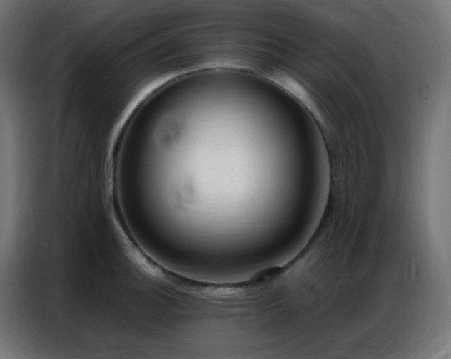 X0000086931140200704161418