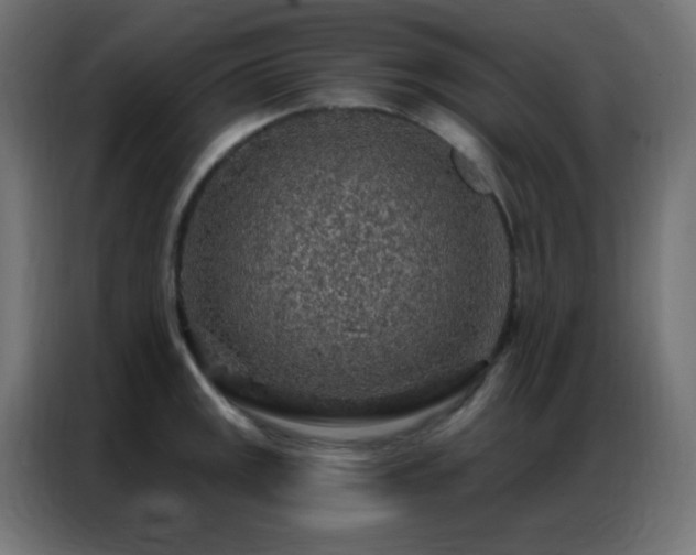 X0000086931141200704161419
