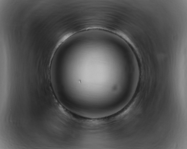 X0000086931145200704161419