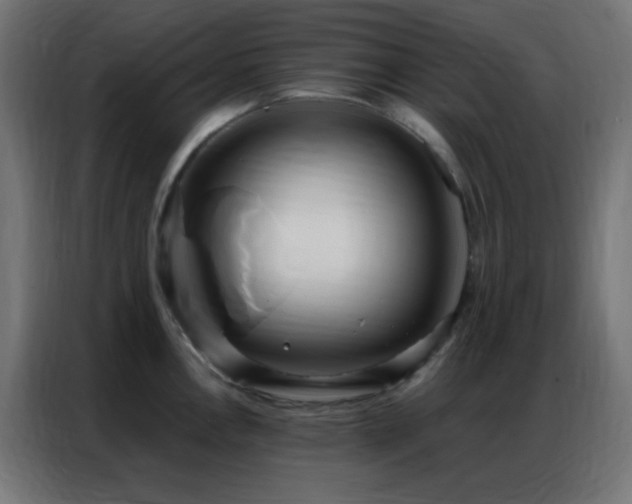 X0000086931146200704161419