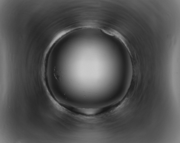 X0000086931147200704161419