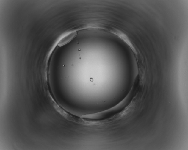 X0000086931148200704161419