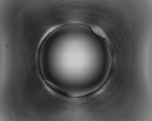 X0000086931149200704161419