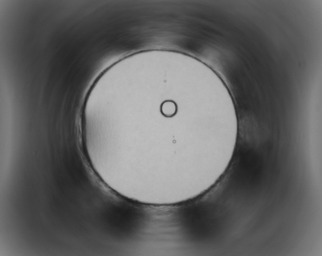 X0000086931150200704161419