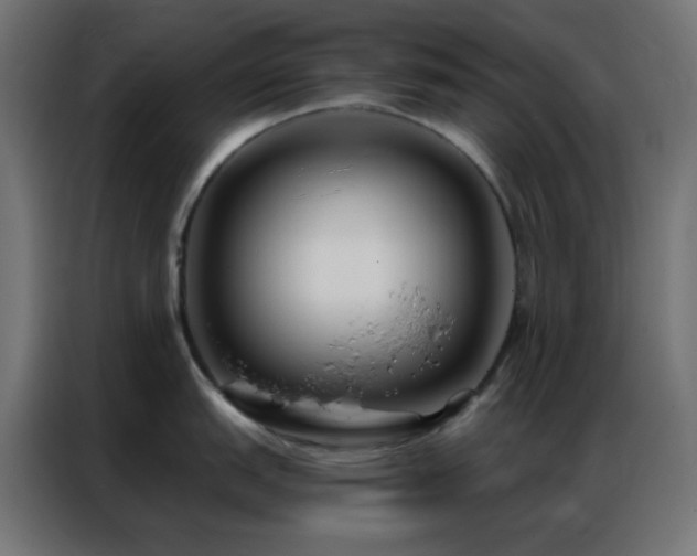 X0000086931151200704161419