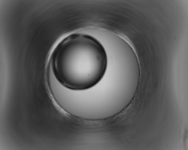 X0000086931152200704161419