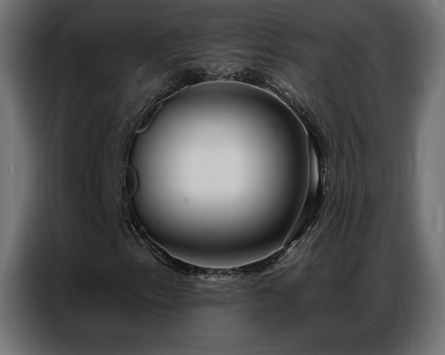 X0000086931153200704161418