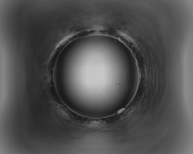 X0000086931160200704161418