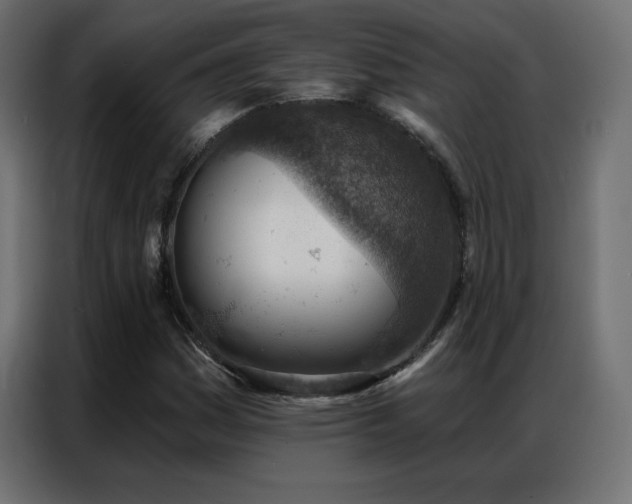 X0000086931161200704161418
