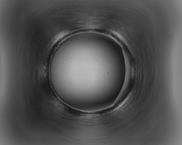 X0000086931163200704161418