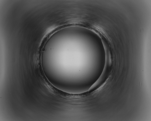 X0000086931164200704161418