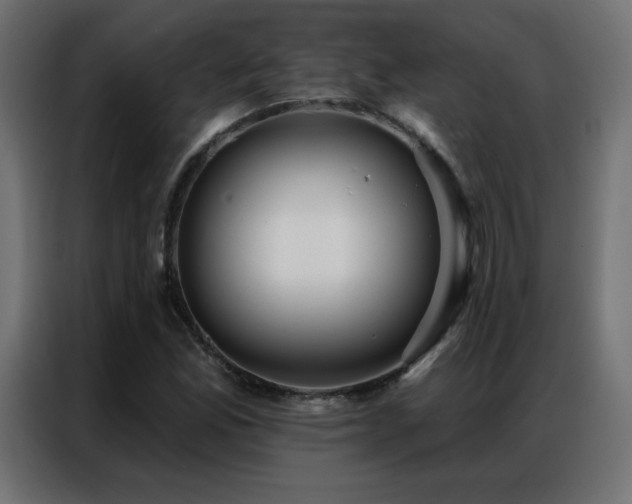 X0000086931165200704161418
