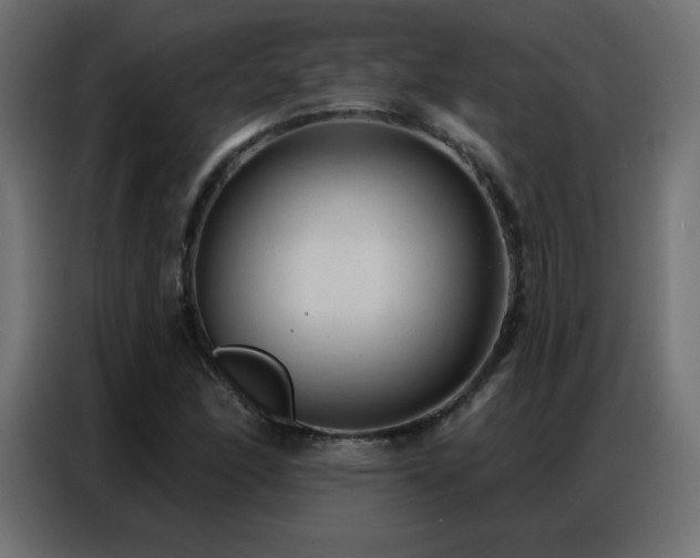X0000086931166200704161418