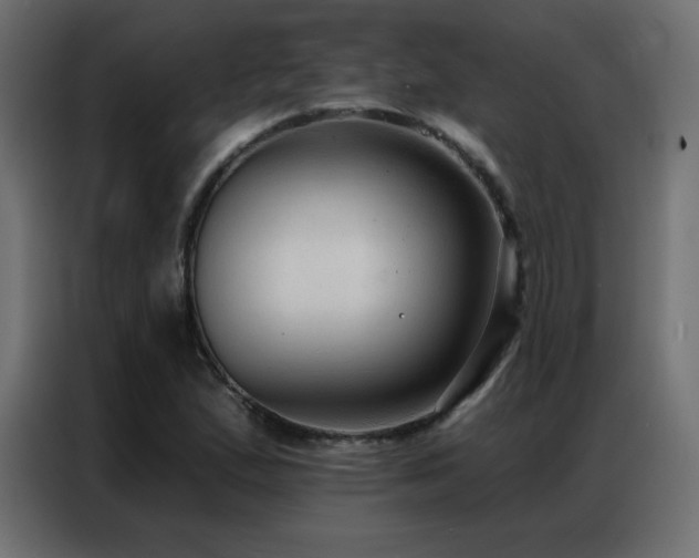 X0000086931167200704161418