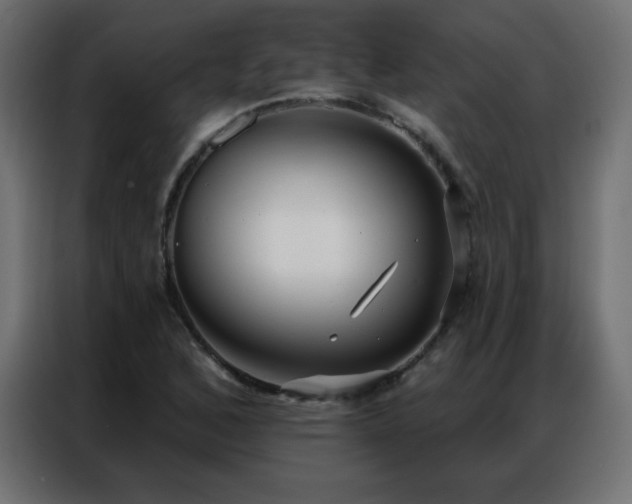 X0000086931168200704161418