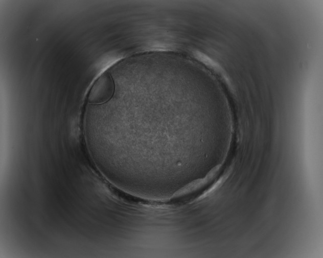 X0000086931170200704161418