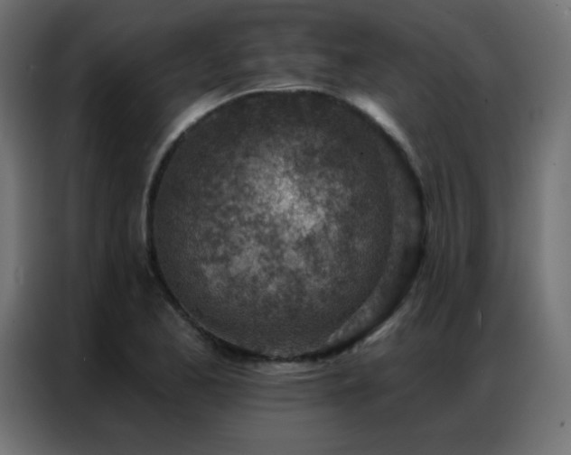 X0000086931173200704161418