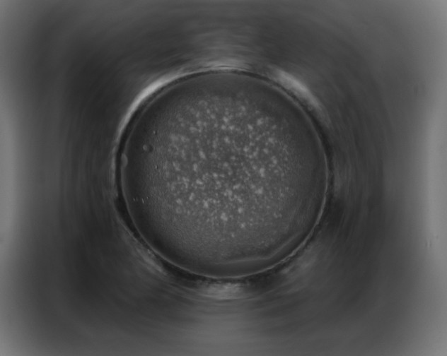 X0000086931174200704161418