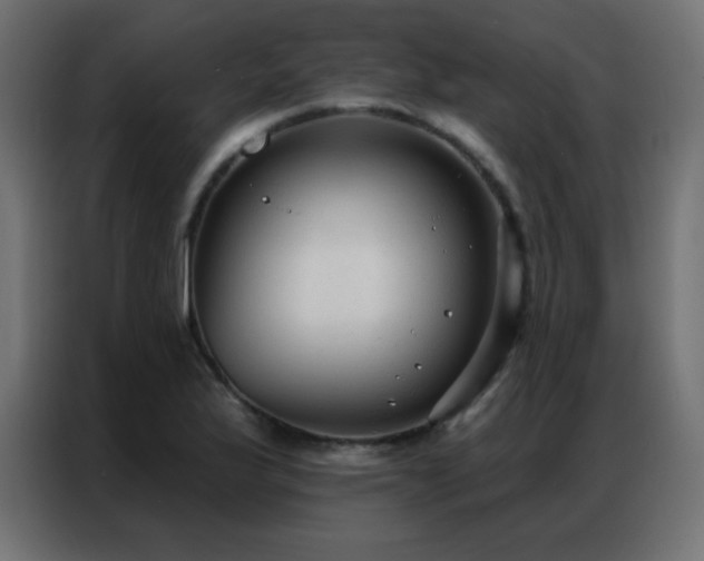 X0000086931175200704161418