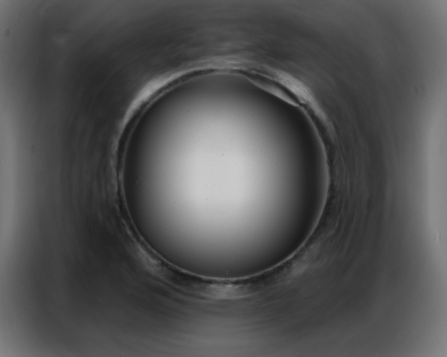 X0000086931176200704161418
