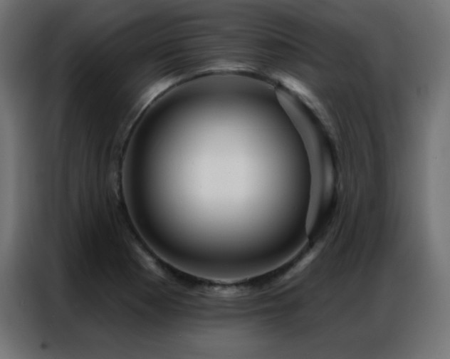 X0000086931177200704161418