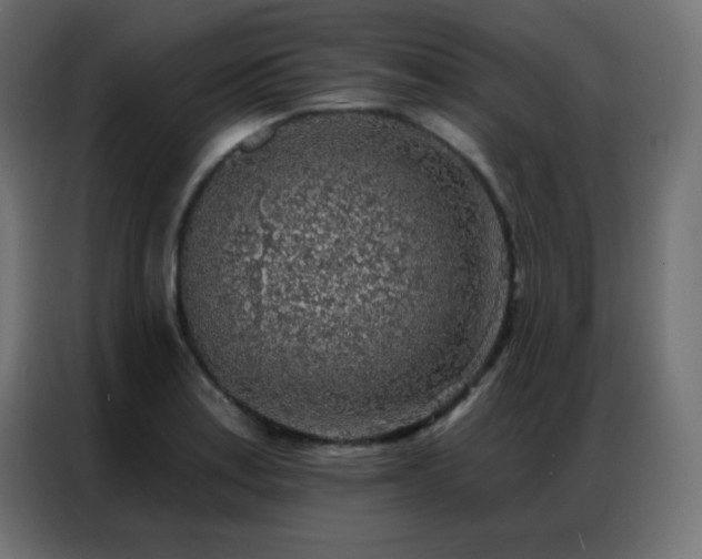 X0000086931179200704161418
