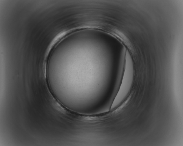 X0000086931180200704161418