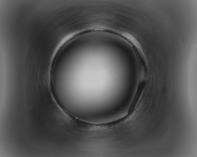 X0000086931183200704161418