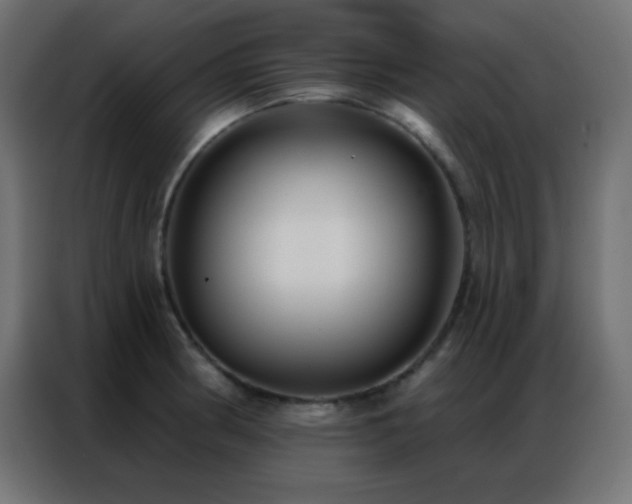 X0000086931186200704161418