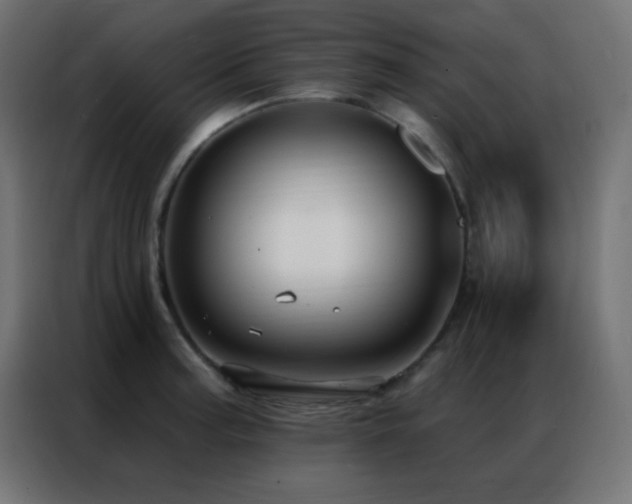 X0000086931187200704161418