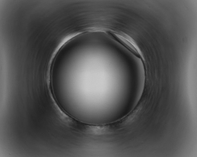 X0000086931195200704161417