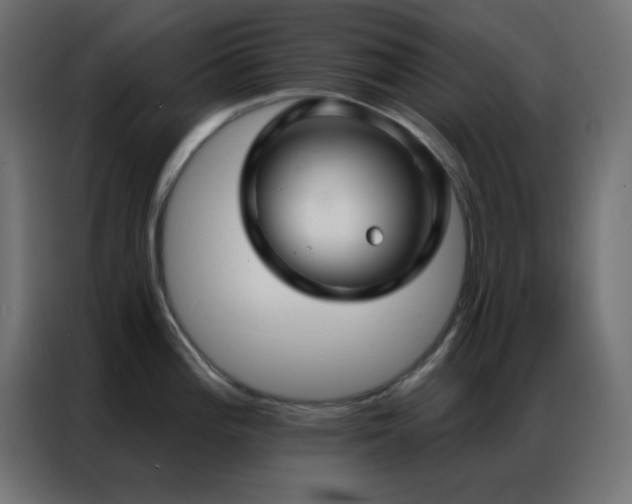 X0000086931196200704161417