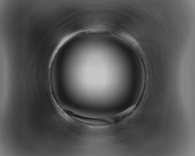 X0000086931200200704161417