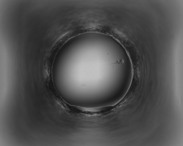 X0000086931206200704161417